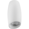 Светильник накладной LIGHTSTAR Ballo 214466